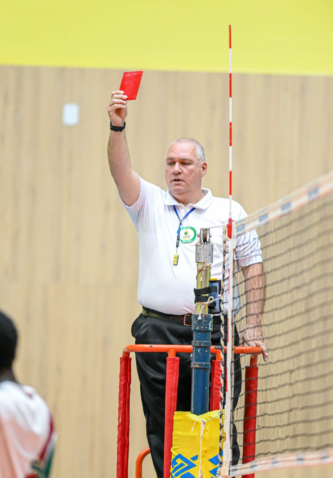 Marcelo Ribeiro Leandro